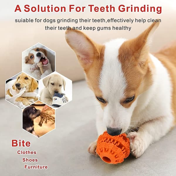 Hundespoleball, giftfri bitresistent hundetyggeball matbehandler tannrensing treningslek