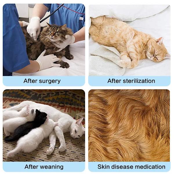 Katt Full Body, Postkirurgisk Väst, Kattväst, Medicinsk Husdjurströja, Kattungekläder, Endast Katter