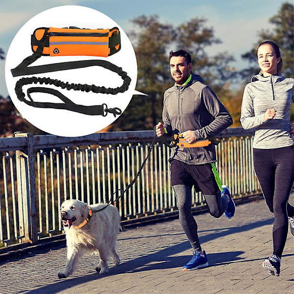 Reflekterande elastisk sport midjeväska hundkoppel set dragrep husdjur hund löpbälte elastisk handsfree jogging drag hundkoppel