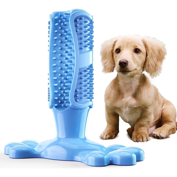 Naturgummi tuggleksak - tandborste för små/medelstora hundar Blå
