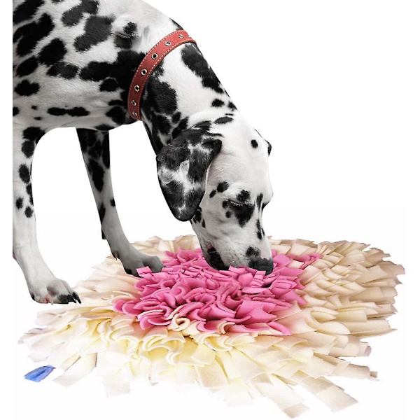 Sniffing tæppe hund lugtende øvelse sniffing tæppe fodring måtte træningsmåtte