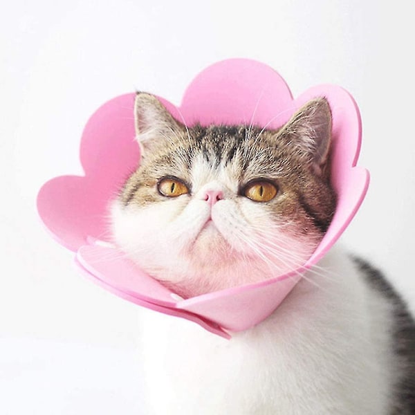 Krage for katt i anti-bitt kragebeskyttelse krage for katt krage sårbeskyttelse krage for nakkebeskyttelse justerbar