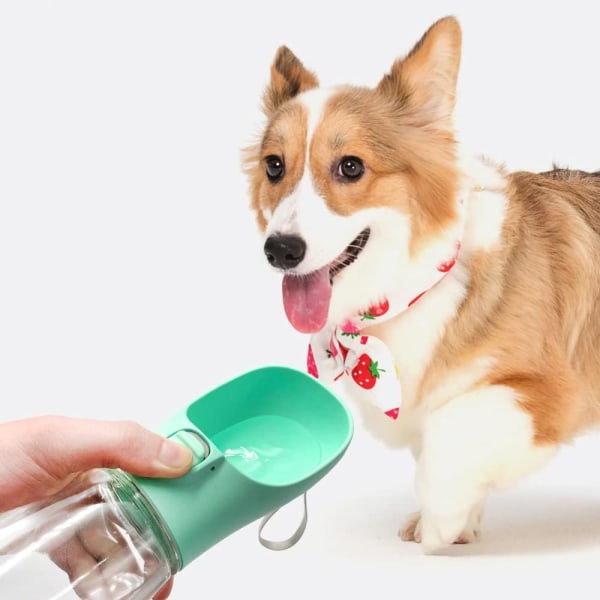 Bärbar hundvattenflaska (C25-Högtemperaturbeständig-Grön 550ml)