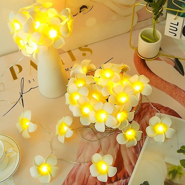 LED Konstgjord Plumeria Blomsträng Ljus - Hawaiiansk Skum Frangipani Blomljus USB-driven Fe Strängljus-9.8ft 20led