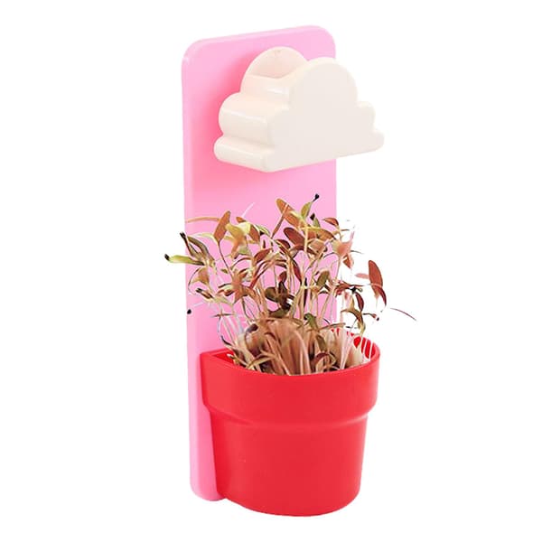 Regnig blomkruka väggmonterade hängande planter med moln duschvattning（Rosa）
