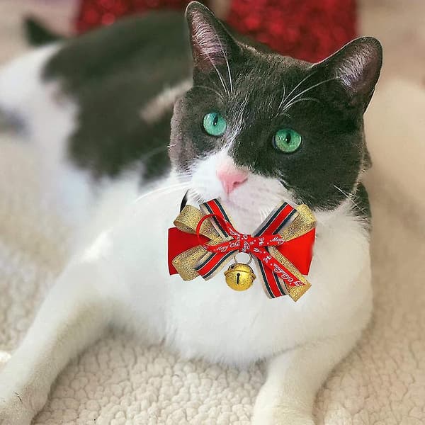 Julhalsband, Julhalsband