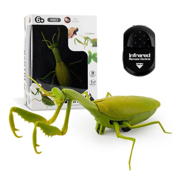Infraröd RC insektsfjärrkontroll simuleringsmantis skämt skämt trick buggar barn present（10）