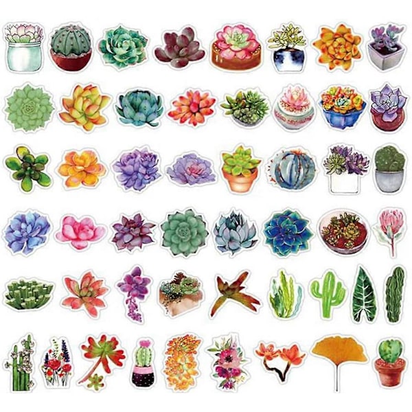 50 st Succulent-dekaler, Estetiska Dekaler, Söta Dekaler, Vinyldekaler, Dekaler för Vattenflaskor, Vattentäta Dekaler, Dekaler för Flickor och Pojkar