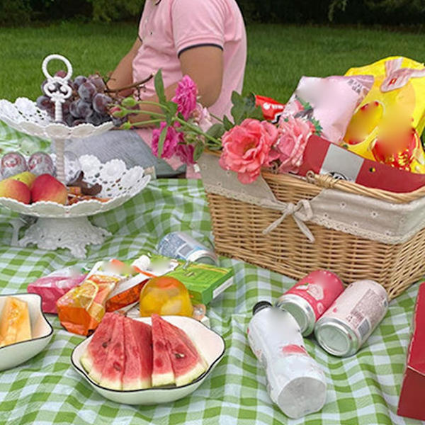 Picknickfilt Bärbar Strandfilt För Strand, Utomhus, Camping På Gräs（Grön）