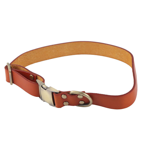 Pehmustettu nahkainen koiranpanta kaiverretulla soljella - Pehmeä ja kestävä pienille, keskisuurille ja suurille kissoille ja koirille - Oranssi, 26-42cm / 10.2-16.5in