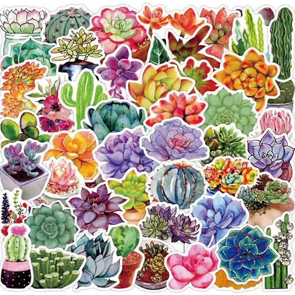 50 st Succulent-dekaler, Estetiska Dekaler, Söta Dekaler, Vinyldekaler, Dekaler för Vattenflaskor, Vattentäta Dekaler, Dekaler för Flickor och Pojkar