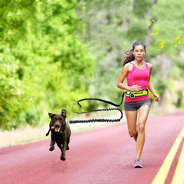 Reflekterande elastisk sport midjeväska hundkoppel set dragrep husdjur hund löpbälte elastisk handsfree jogging drag hundkoppel