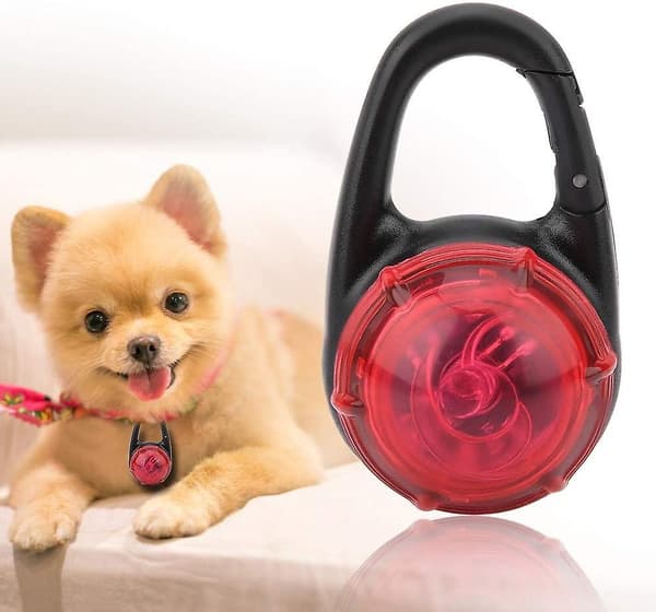 Led Hundehalsbånd til Nattevandring med Lysende Sikkerhedshalskæde til Hunde