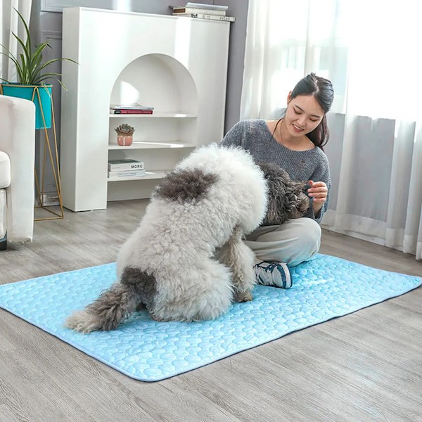 Kølemåtte til hunde, skridsikker kølemåtte til kæledyr, kølemåtte til katte, køleseng til kæledyr til indendørs og udendørs brug, 30 x 40