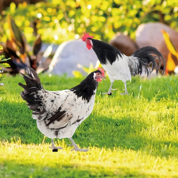 Trädgårdsdekoration 2D kycklingträdgårdsstatydekoration, dubbelsidig realistisk akryl kycklingkonst Trädgårdsstake, kycklingdjurstaty hönaprydnad