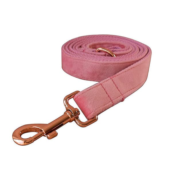 Veet Hundhalsband och Koppel, Supermjukt och Slätt, Hållbart Guld Bule, Justerbart Hundhalsband（S，Hundkoppel.）