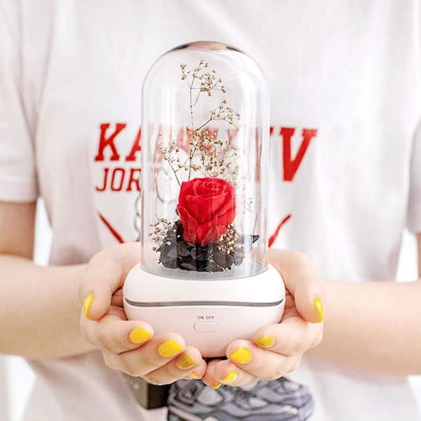 Bevarad doft, bärbar lampa, uppladdningsbar, USB-aromdiffusor för hem, kontor, sovrum（rosa）