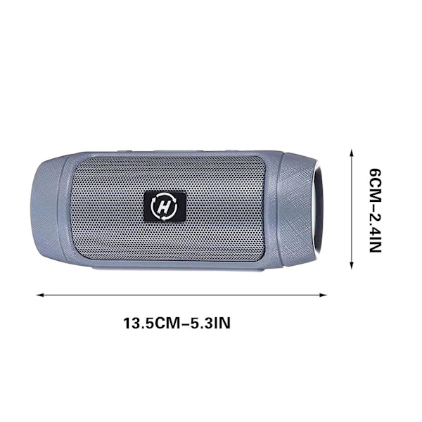 Trådlös handhållen Bluetooth-högtalare, bärbar utomhushögtalare, miniljudsystemhögtalare (silver)