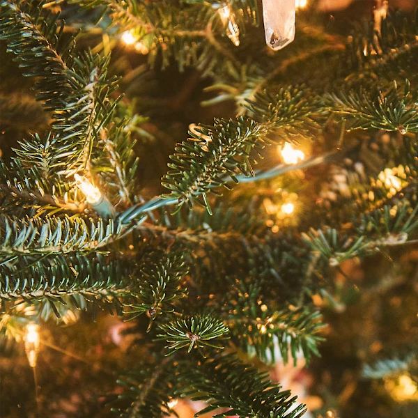 Grønne praktiske julelys 33ft 100 Led batteridrevne lysstrenger med timerminnefunksjon USB eller batteridrevne vanntette lysstrenger for innendørs