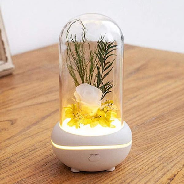 Bärbar lampa, uppladdningsbar USB-aromdiffusor för hemmakontor sovrum - vit