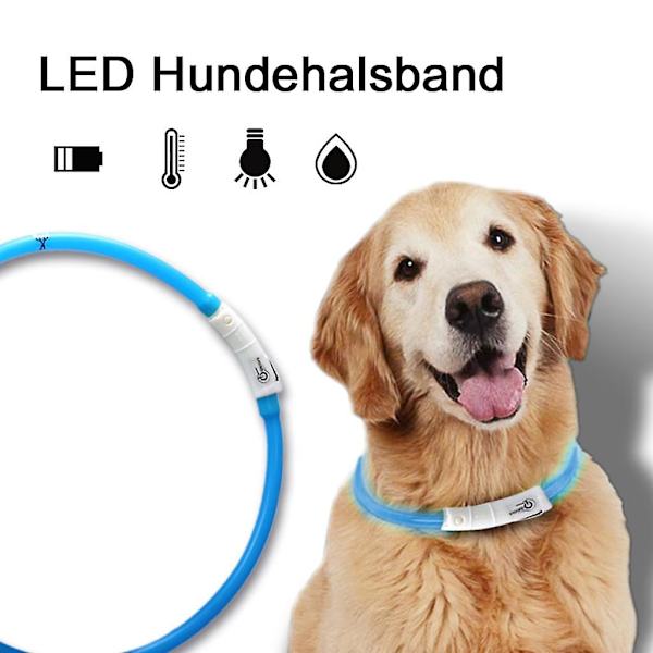 LED Lysende Halsbånd Hundehalsbånd USB Genopladelig Justerbar Længde Blå