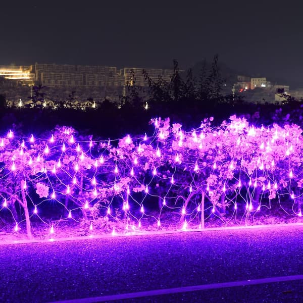 LED-valoverkko puutarhan koristeluun (violetti)
