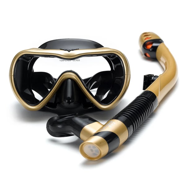 Läcksäkert set Anti-dimma Simsnorkelglasögon Glasögon med lätt andningstorrsnorkel för snorkling Simning Dykning