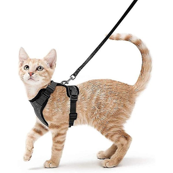 Kitten Harness With Leash Set For Walking, Kitten Small Dog Harness With Leash For Small To Medium Cats, Xs