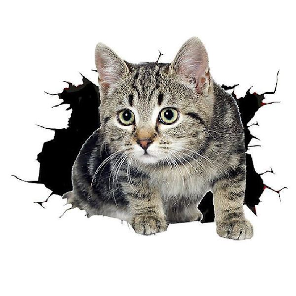 Dww-4 stk 18*13cm 3D kattunge kreative bilklistremerker, bildekorasjonsklistremer, skjuler riper klistremer