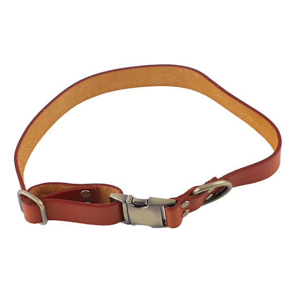 Pehmustettu nahkainen koiranpanta kaiverretulla soljella - Pehmeä ja kestävä pienille, keskisuurille ja suurille kissoille ja koirille - Oranssi, 26-42cm / 10.2-16.5in