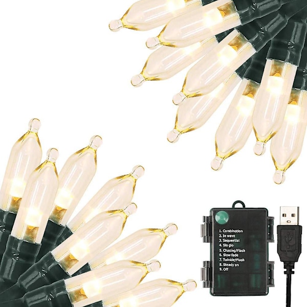 Grønne praktiske julelys 33ft 100 Led batteridrevne lyskæder med timerhukommelsesfunktion Usb eller batteridrevne vandtætte lyskæder til indendørs