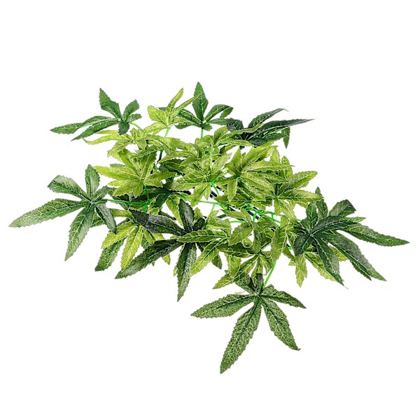Plastik Akvarieplante Kunstig Akvarium Plante Dekoration Reptil Tank Dekor Sugekop Plante（Som Vist）