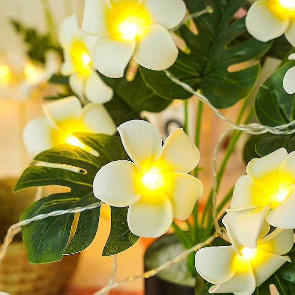 LED Kunstig Plumeria Blomsterstreng Lys - Hawaiiansk Skum Frangipani Blomsterlys USB-drevet Fe Lyskæde - 9,8ft 20led