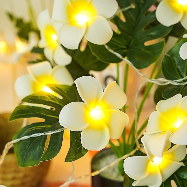 LED Kunstige Plumeria Blomsterstrenger Lys - Hawaiiansk Skum Frangipani Blomsterlys USB-drevet Eventyrlysstrenger - 9,8 fot 20 lysdioder