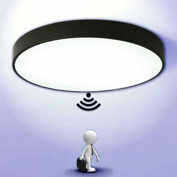 LED loftslampe, loftslampe, moderne 12 watt, 6.000 Kelvin, sort og hvid, ?? 22 cm [Energiklasse F],