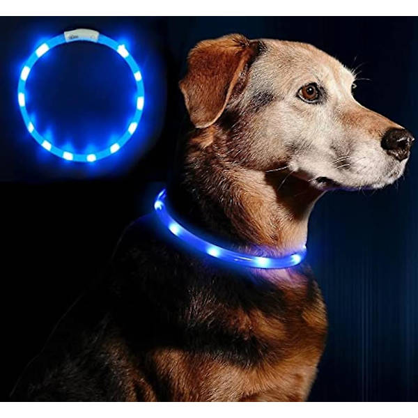 LED Lysende Halsbånd Hundehalsbånd USB Genopladelig Justerbar Længde Blå