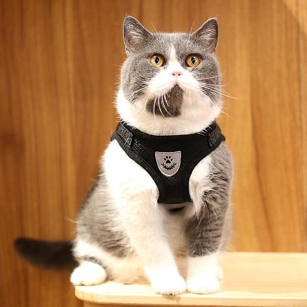 Utomhus katt liten hund sele och koppel set mjukt nät valp sele justerbar katt sele med reflexband komfort