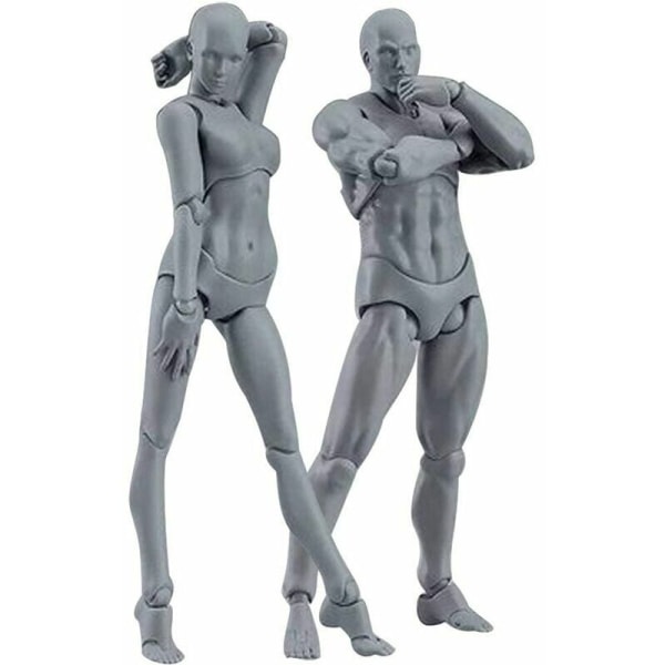 Mannequin deler/modell/sett PVC-tegning Bevegelig mannequin actionmodell skrivebordsdekorasjonsskisse