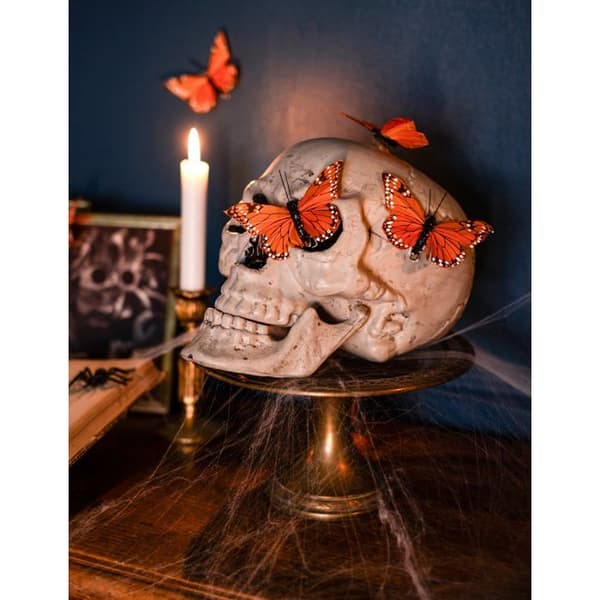 Skjelettdekorasjon 24 x 18 cm Halloween - 228368 (One Size)