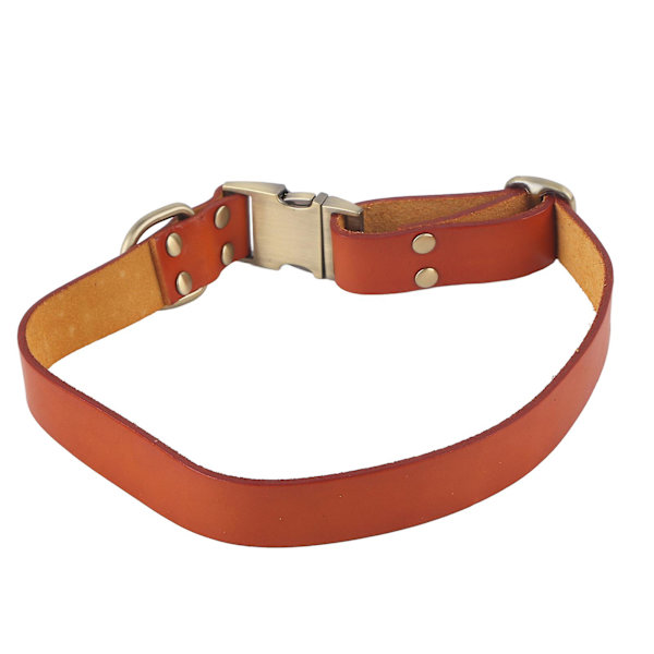 Pehmustettu nahkainen koiranpanta kaiverretulla soljella - Pehmeä ja kestävä pienille, keskisuurille ja suurille kissoille ja koirille - Oranssi, 26-42cm / 10.2-16.5in