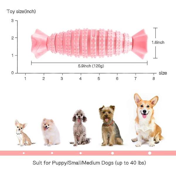 Hunde legetøj hund tygge legetøj tænder hund knogler holdbare seje interaktive kæledyr legetøj til til hvalp, små og mellemstore hunde
