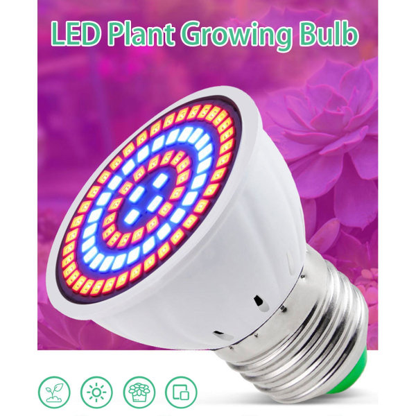 Ac220v Full Spectrum LED Grow-glödlampa E14 med 60 LED-lampa för växttillväxt för hydroponiska växthus inomhusväxter