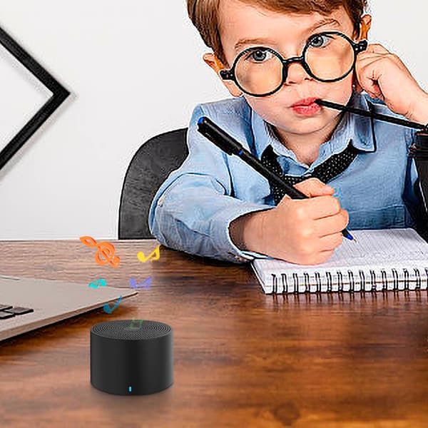 Bluetooth-högtalare, trådlöst miniportabelt ljudsystem, hemmasubwoofer, bärbart utomhussystem med hög volym (svart)