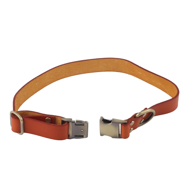 Pehmustettu nahkainen koiranpanta kaiverretulla soljella - Pehmeä ja kestävä pienille, keskisuurille ja suurille kissoille ja koirille - Oranssi, 26-42cm / 10.2-16.5in