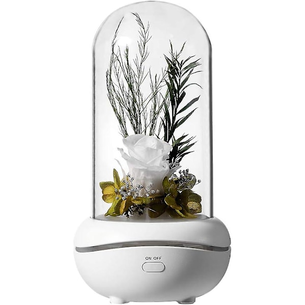 Bärbar lampa, uppladdningsbar USB-aromdiffusor för hemmakontor sovrum - vit