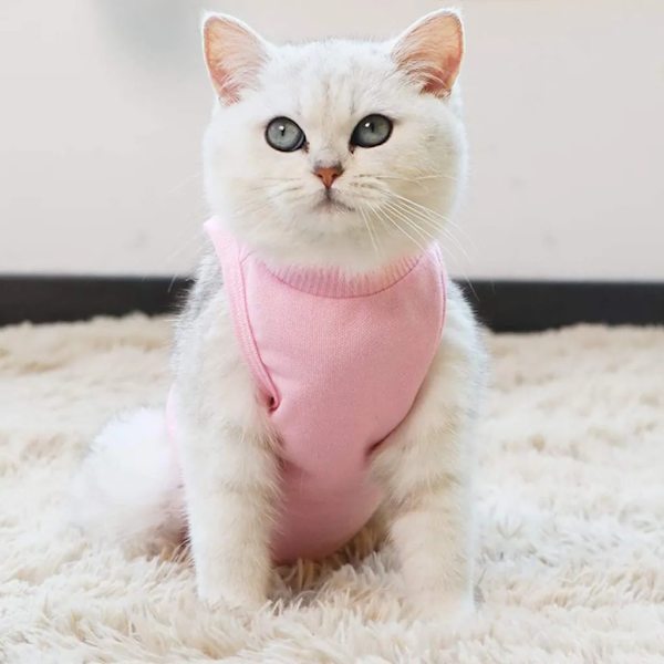 Katt Full Body, Postkirurgisk Väst, Kattväst, Medicinsk Husdjurströja, Kattungekläder, Endast Katter