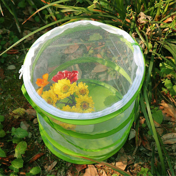 Pop-up insekts- och fjärilshabitatbur Terrarium Genomskinligt nätinneslutning, Se igenom enklare（Grön Vit）
