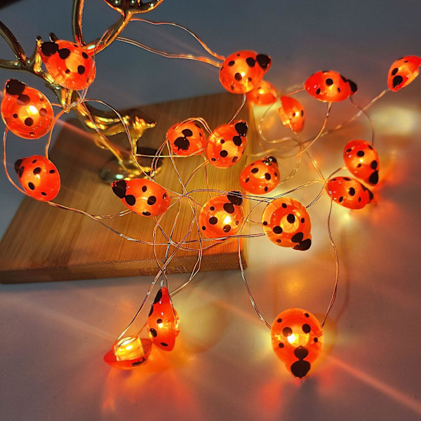 Ljusslinga i form av nyckelpigor 2M 20leds USB lysande nät