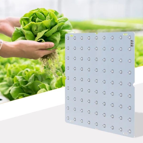 LED Grow Light Röd Blå Full Spectrum 81st LED Grow Light LED Panel Grow Light För Hydroponic Greenhouse