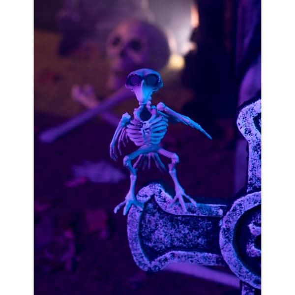 19,5 cm Kråkskelett Halloween Dekoration